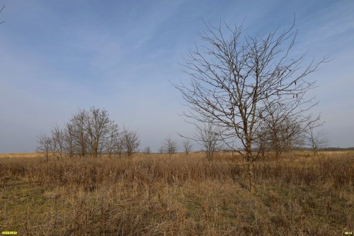 Перспективная ООПТ (дополнительная-2) Лесостепь в истоках Гречаной балки