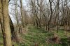 Перспективная ООПТ (дополнительная-2) Лесостепь в истоках Гречаной балки