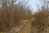 Перспективная ООПТ Советский лесопарк