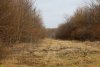 Перспективная ООПТ Советский лесопарк