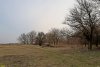 Перспективная ООПТ Ольховский лес