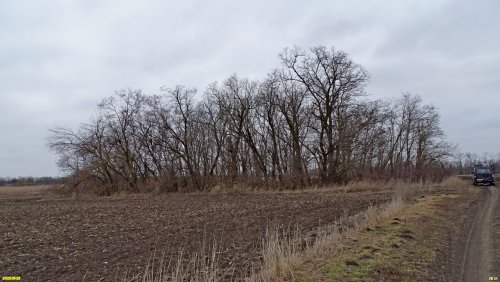 Перспективная ООПТ (дополнительная-2) Колок с бывшей хатой
