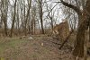 Перспективная ООПТ (дополнительная-2) Колок с бывшей хатой