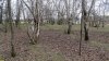 Перспективная ООПТ (дополнительная-3) Правобейсужёкский лесопарк