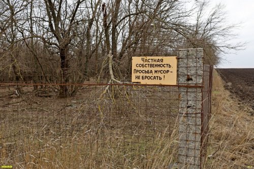 Перспективная ООПТ Переясловский лесопарк