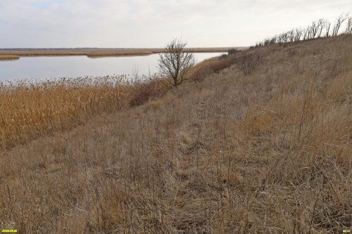 Перспективная ООПТ (дополнительная-4) Бейсугские плавни