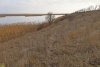 Перспективная ООПТ (дополнительная-4) Бейсугские плавни