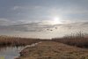 Перспективная ООПТ (дополнительная-4) Бейсугские плавни