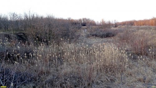 Перспективная ООПТ Брюховецкий лесопарк