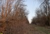 Перспективная ООПТ Брюховецкий лесопарк