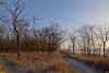 Перспективная ООПТ Раздольный лес