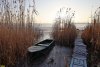 Перспективная ООПТ Раздольный лес