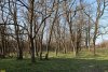  Перспективная зелёная зона в посёлке Раздольный (дополнительная-1)