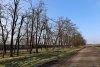 Перспективная зелёная зона в посёлке Раздольный (дополнительная-2)