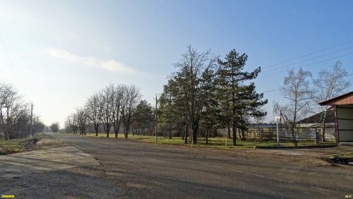 Перспективная зелёная зона в посёлке Раздольный (дополнительная-3)