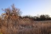 Перспективная ООПТ (дополнительная-1) Урочище Новосельское