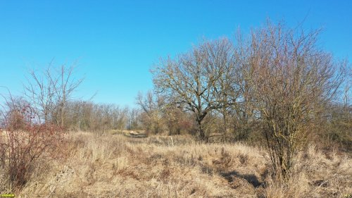 Перспективная зелёная зона в станице Батуринской (6)