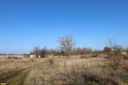Перспективная зелёная зона в станице Батуринской (6)
