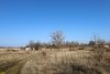 Перспективная зелёная зона в станице Батуринской (6)