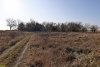 Перспективная зелёная зона в станице Батуринской (7)