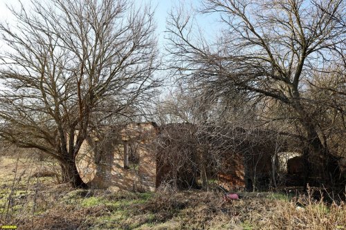 Перспективная зелёная зона в станице Батуринской (7)