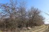 Перспективная зелёная зона в селе Приречное (1)