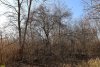 Перспективная ООПТ Бейсугское приречье