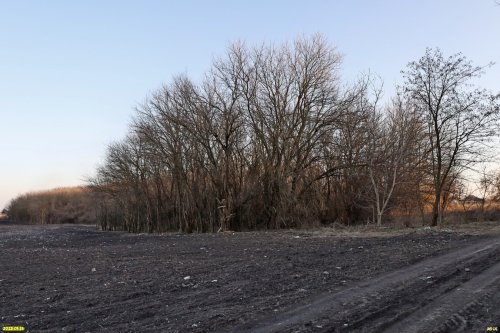 Перспективная ООПТ Большебейсугский лесопарк