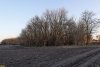 Перспективная ООПТ Большебейсугский лесопарк