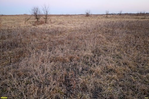 Перспективная ООПТ (дополнительная-2) Большебейсугский луг