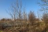 Перспективная ООПТ (дополнительная) Зафермовский лес