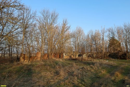 Перспективная зелёная зона в селе Красносельское (4)