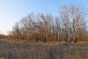 Перспективная зелёная зона в селе Красносельское (4)