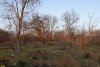 Перспективная зелёная зона в селе Красносельское (7)