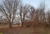 Перспективная зелёная зона в селе Красносельское (13)