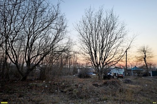 Перспективная зелёная зона в селе Красносельское (10)