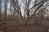 Перспективная зелёная зона в селе Красносельское (10)