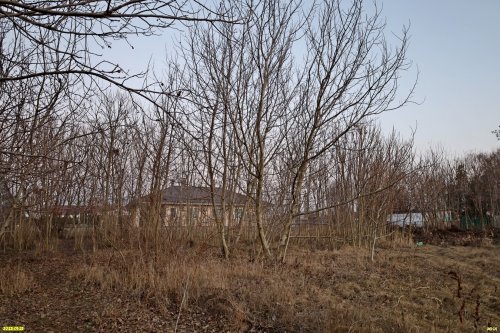Перспективная зелёная зона в селе Красносельское (дополнительная)