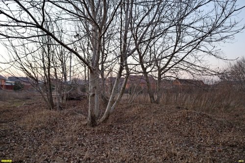 Перспективная зелёная зона в селе Красносельское (дополнительная)