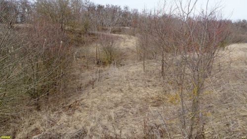 Перспективная ООПТ (дополнительная-3) Высокий берег Левого Бейсужка