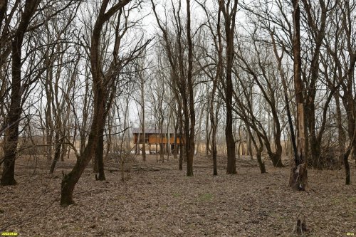 Перспективная ООПТ Левобейсужёкский лес