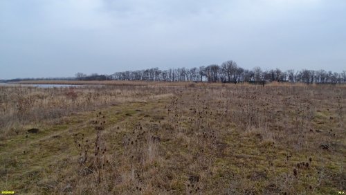 Перспективная ООПТ (дополнительная-4) Луг на полуострове Левого Бейсужка