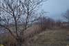 Перспективная ООПТ Левобейсужёкский полуостров