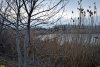 Перспективная ООПТ Левобейсужёкский полуостров