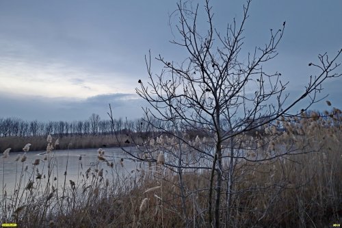 Перспективная ООПТ Левобейсужёкский полуостров