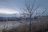 Перспективная ООПТ Левобейсужёкский полуостров