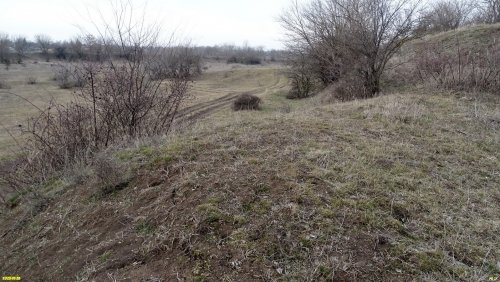 Перспективная ООПТ Дядьковский лесопарк