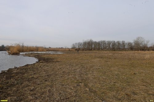 Перспективная ООПТ Дядьковский лесопарк