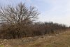 Перспективная зелёная зона в станице Дядьковской (9)