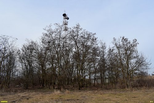 Перспективная зелёная зона в станице Дядьковской (1)